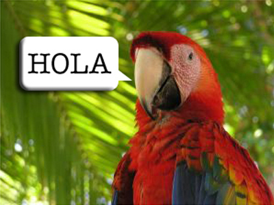 Because it is the only day where everyone can “speak Spanish” fluently.