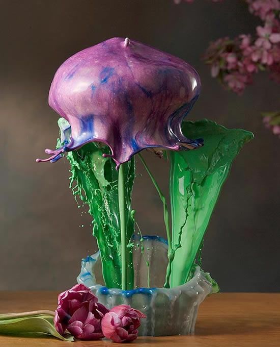 ’All of my images are created in one single capture. One picture. I do not make composites from multiple images, unless otherwise noted. All of my fluid flowers are as captured.”