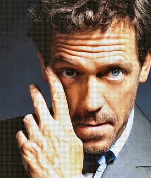 Before he was House, Hugh Laurie co-wrote and starred in two comedy TV series alongside Stephen Fry - in sketch show A Bit of Fry and Laurie and sitcom P.G. Wodehouse's Jeeves and Wooster. He also starred in Black Adder and in The Young Ones. My point is, Laurie is hi-fricken-larious! He's got the perfect comedy timing and acting chops for the role. It doesn't hurt that he's goddamn gorgeous.