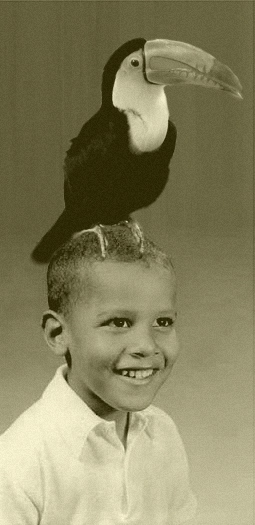 Nice hat, Barack. I dare you to wear it to your second inauguration.