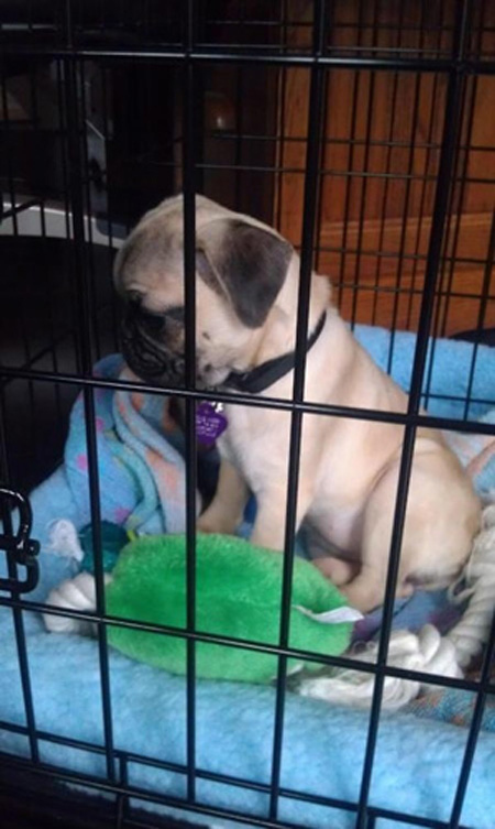 He feels trapped in the crate of his mind.