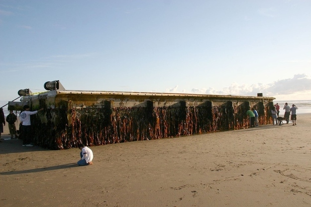 Oregon Parks and Recreation Department photograph shows the heavy dock, measuring 7' tall, 19' wide and 66' long.
