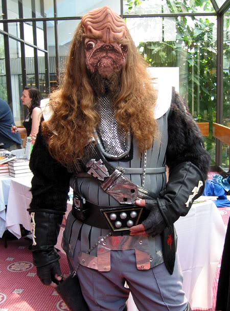 The wrinkled forehead of a Klingon and wrinkled face of a pug must look pretty majestic flapping in the wind at Comic Con.