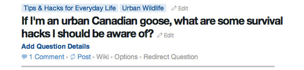 canada goose quora wiki