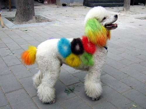 Wishes this costume granted him the ability to carry the Olympic torch.