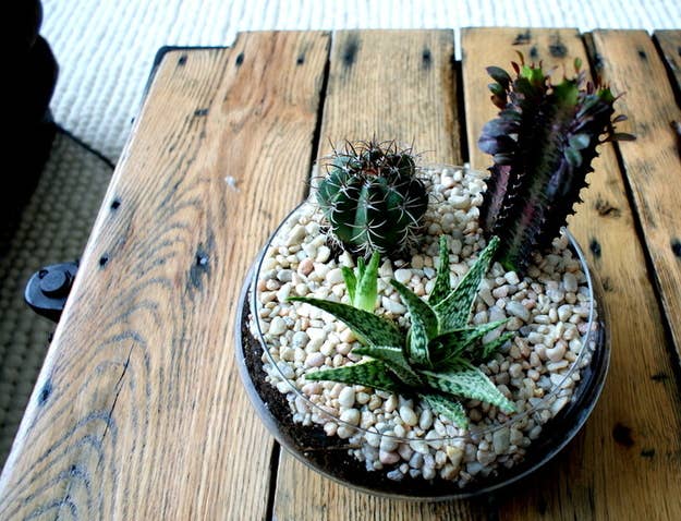 21 Simple Ideas For Adorable Diy Terrariums I'm totally in love with it!
