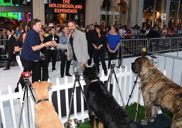 The puppyrazzi was in full force at the premiere of Disney's Frankenweenie last night.