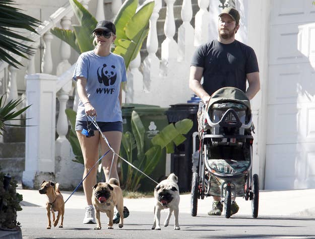 Chris Pratt And Anna Faris Take Their Dogs, Baby For A Walk