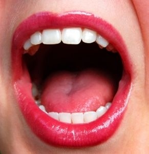 Bite Me
