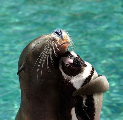 Hugging it out!