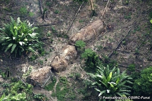 "Another thing these photographs say to me is that the structures are not temporary," said Watson. "They are quite substantial. They would have taken a lot of time and effort to build. It looks to me like they're semi-nomadic. They would be hunters, certainly. They're not nomadic." Watson said the Brazilian government has spotted the group's gardens, which contain corn and peanuts, as well as the banana trees visible in this photo.