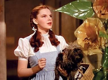 &ldquo;I&rsquo;ve got a feeling we&rsquo;re not in Kansas anymore.&rdquo; -Wizard of Oz