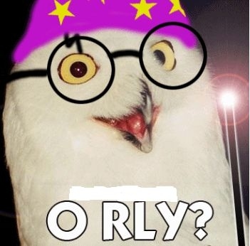 People Want Owls As Pets