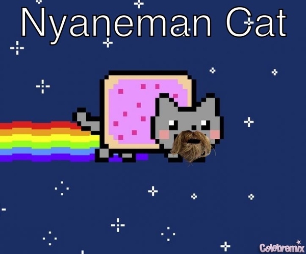 Nyaneman Cat