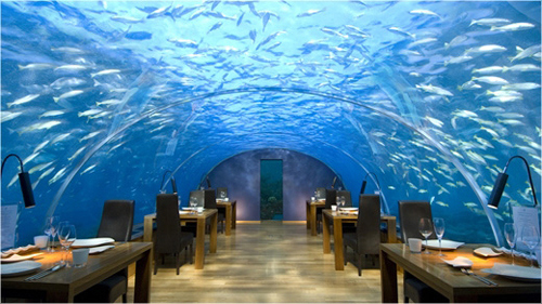 Dinner Under the Sea