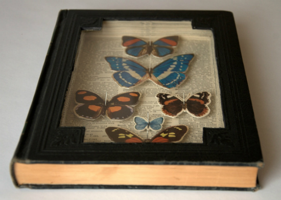 Comptons Pictured Encyclopedia: B(utterflies)