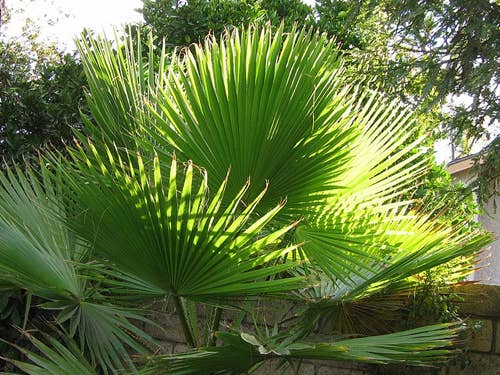 11 Ways People Kept Cool Before Central Air