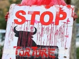 2009: Stop Bullfighting