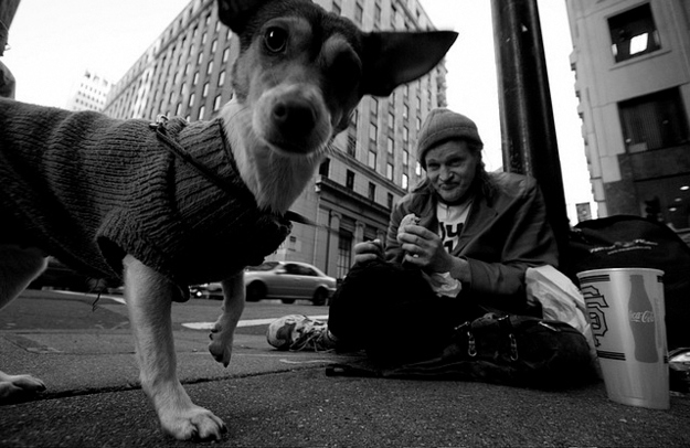 The Dogs Of Homeless People