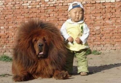 Too much sun in the face for this interspecies friendship.