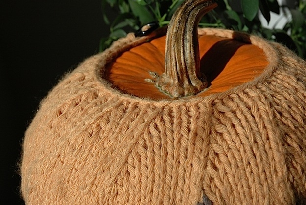 For chilly nights out on the patch. Knitting pattern here.