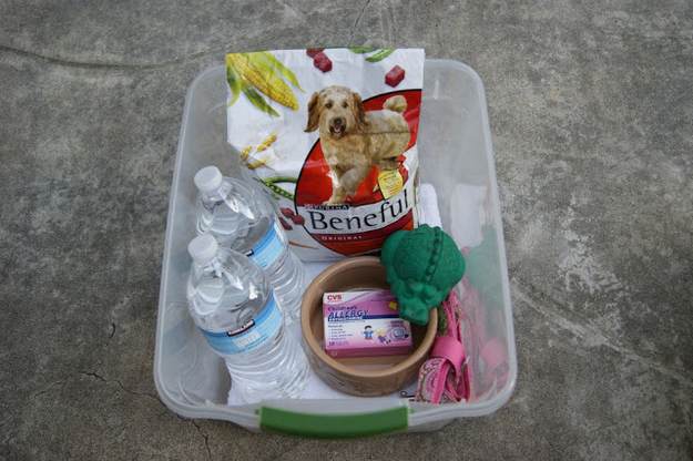 Pack an emergency preparedness kit for your pet.