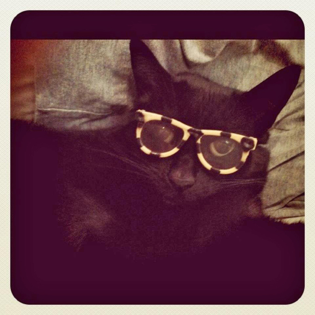 "Call me four eyes, i dare you."