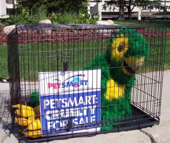 A PETA parrot exposes Petsmart's cruelty to animals.