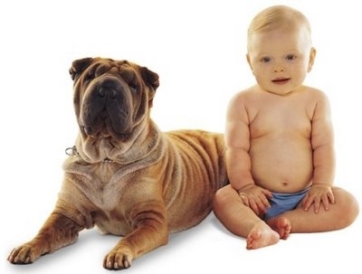 These two share the same body type
