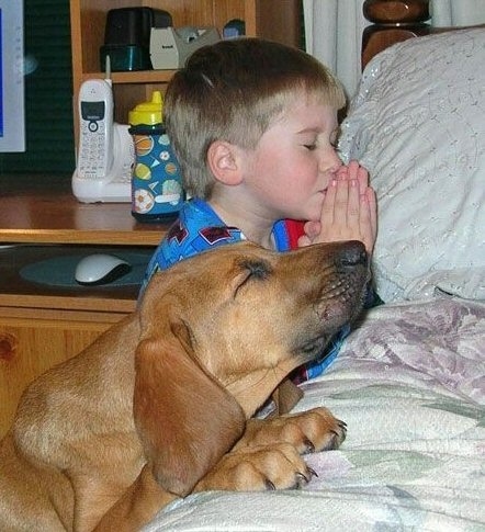 These two are sharing a good night's prayer together