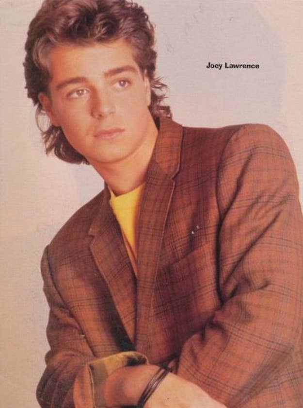 The Joey Lawrence Hair Timeline.