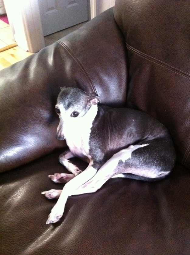 Her leggies are so long!