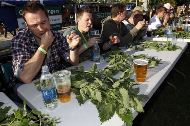 Here's a quote, via The Telegraph, that you'll never hear from an Olympic champion: "They taste totally foul, and everything comes out bright green for a few days afterwards." That was from Simon Slee, who once ate 76 feet of nettles to clinch the world record. Try your luck in Dorset, where the competition is part of a charity beer festival (that explains a lot). Whoever eats the most of the stinging plant in one hour wins!