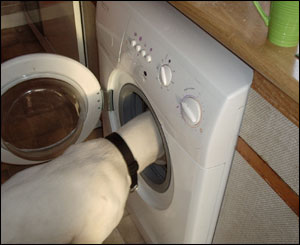 You forgot to separate the whites!