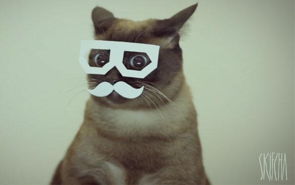 Think cats are all paws on keyboards? The emergence of dubstep into mainstream radio brought video dedications like this with our feline overlords rocking the turntables now. How'd they get Dubstep Cat to do that tongue thing? Too good. So good, a dog copied it HERE...but the cat was first!