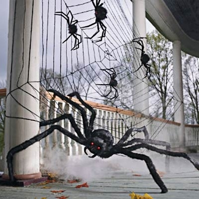 Oversized Spiders and Web