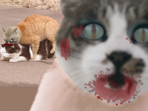 Cats already rule the world Internet so a zombie outbreak among our feline friends would quickly spell doom for the human race. Standard cat operating procedure already involves guttural noises, scratching and biting so who knows how long it'd take for us to notice. Once we did, our downfall would be in making new memes about zombie Ceiling Cat or trying to save our furry friends from themselves, linking our doomed fate to theirs.Weakness: Catnip, Balls of intestine Yarn