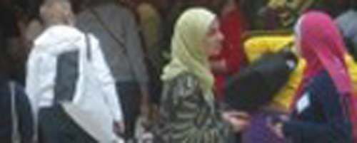 7) OWS or BF?