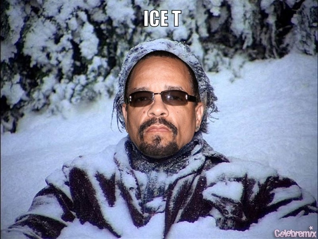 Ice(d) T
