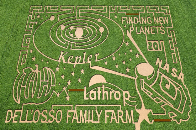 Corn maze at Dell'Osso Farms in Lathrop, California. Photo credit: The MAiZE Inc.