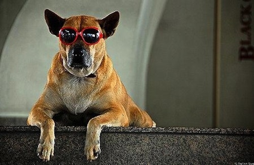 So cooool.