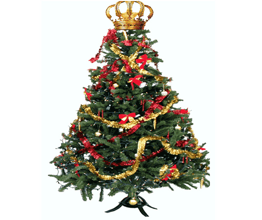 Looking for the perfect tree this Christmas? Find out what characteristics make a tree a cut above the rest.