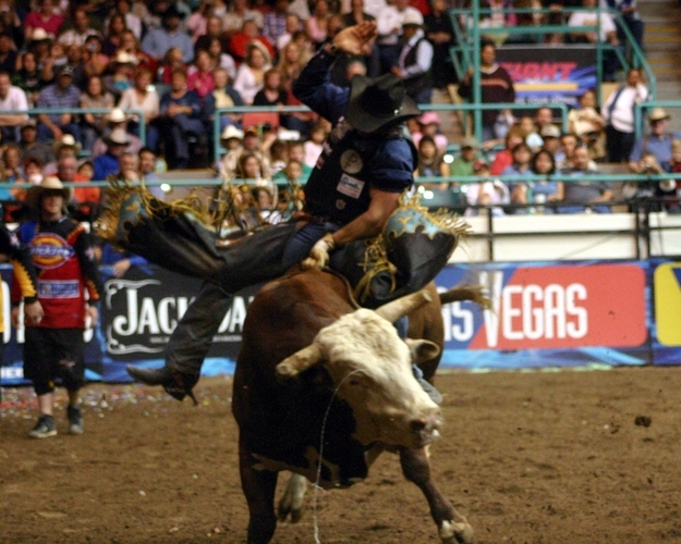 The clock starts when the bull's shoulder breaks the plane of the gate. The clock stops when the rider's hand comes out of the rope, the rider touches the ground or his free arm touches the bull. A successful ride will earn a score of 0-100 points, and scores of 90 points or above are considered outstanding.