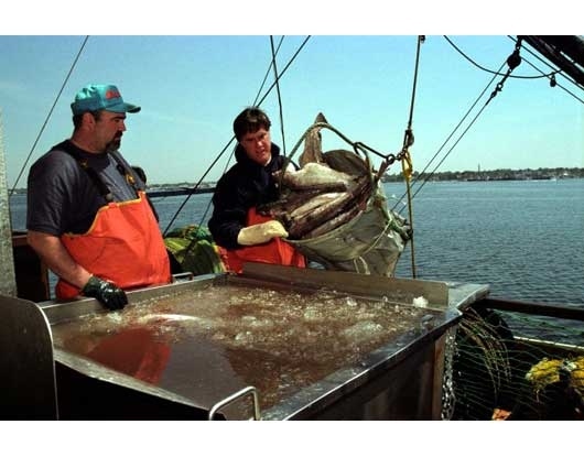Mitt Romney the fisherman.