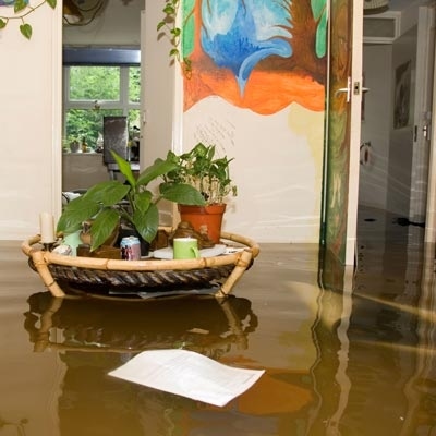 The Whole House Floods