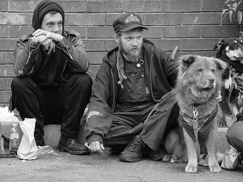 The Dogs Of Homeless People