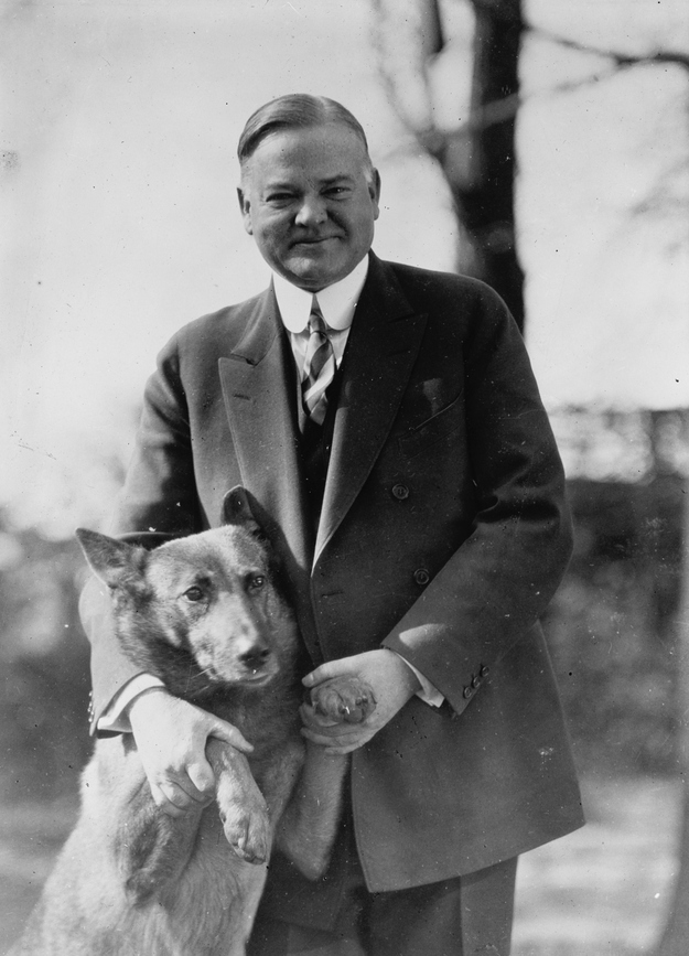 Hoover also 2 crocodiles, just because.