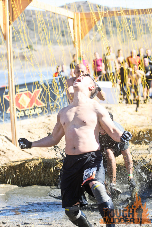 Electroshock Therapy: Sprint through a field of wires, some of which carry a 10,000 volt shock.