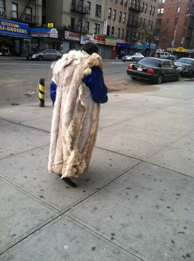 This beautiful thing was walking down Broadway, this morning. Well, New York does know its fashion.