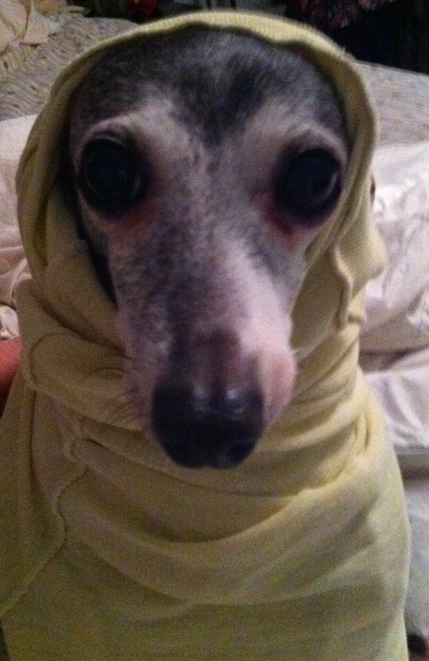 babushka